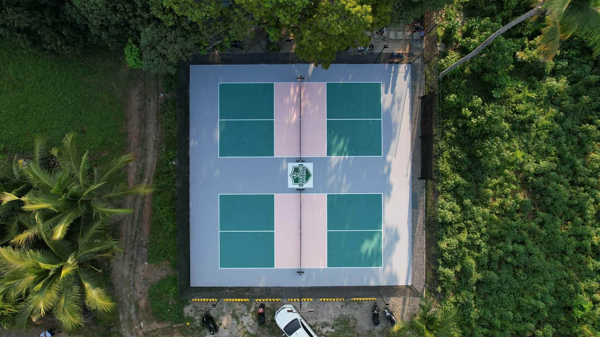 S&S DinkShire Pickleball