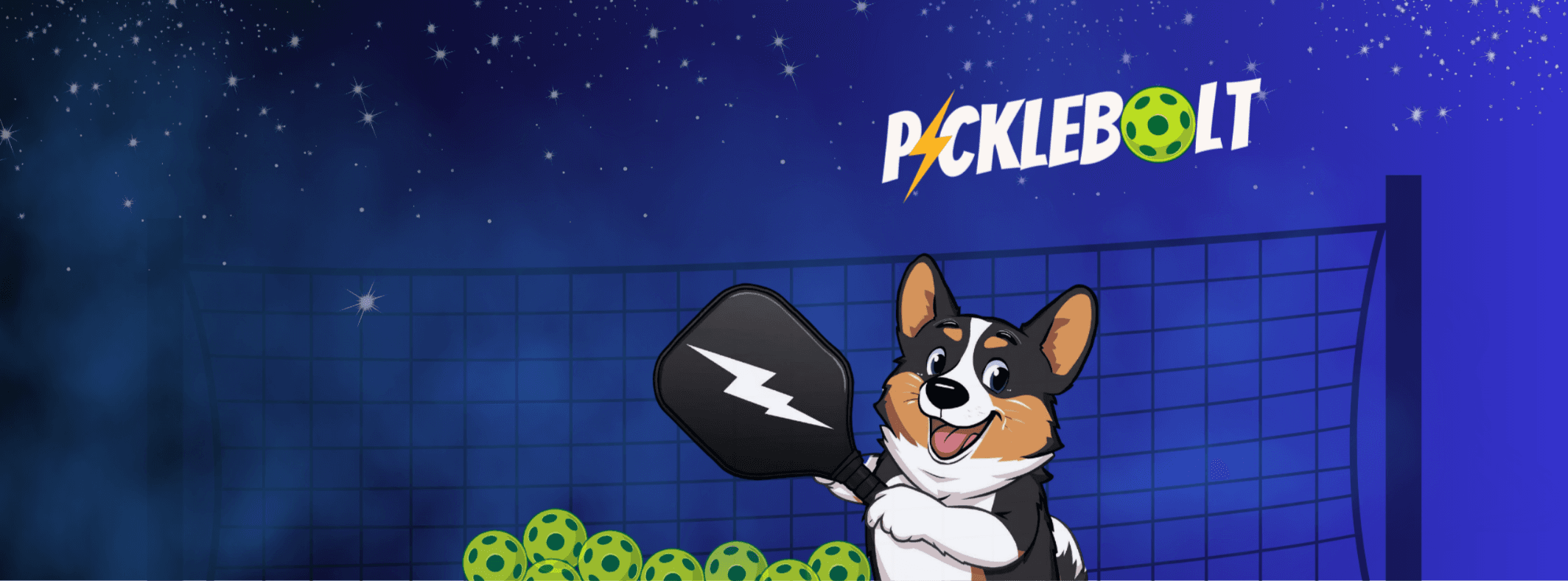 PickleBolt