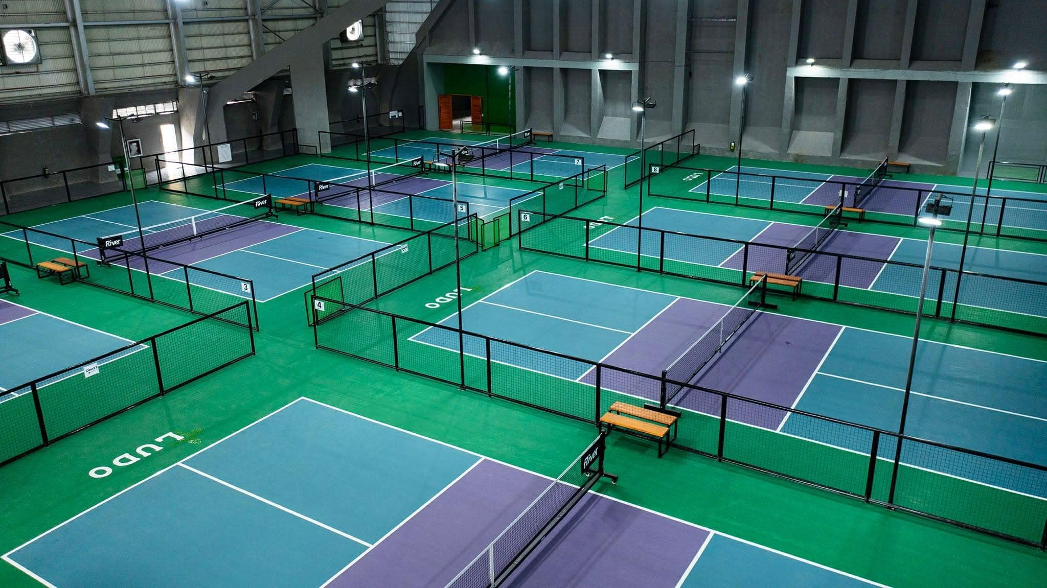 Net and Paddle