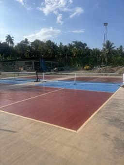 S&W Antique pickleball court logo