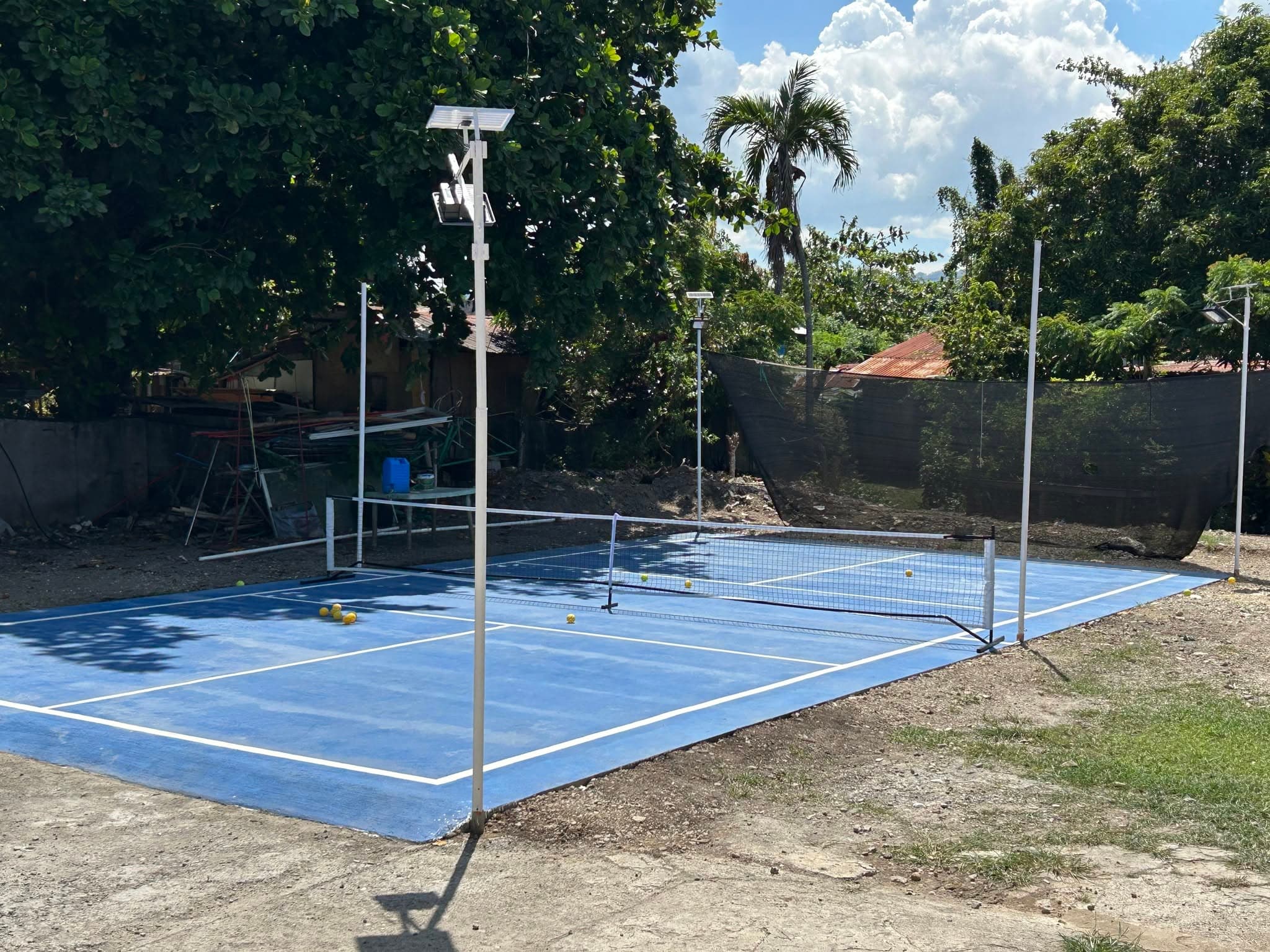 DJ's Backyard Pickleball Court