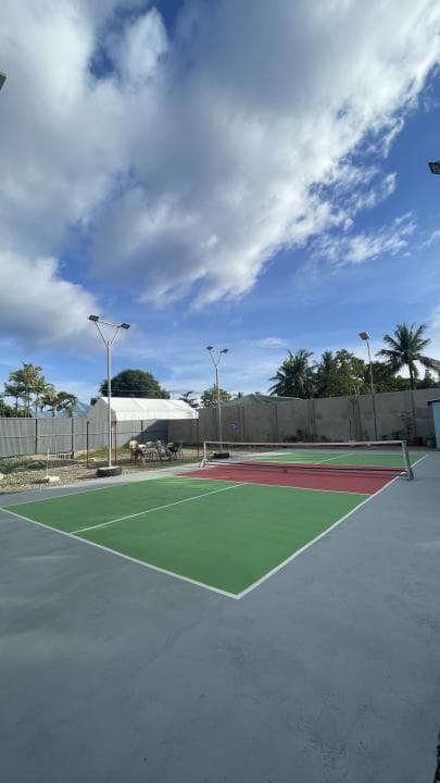 Pickle Patch Court - Mangnao