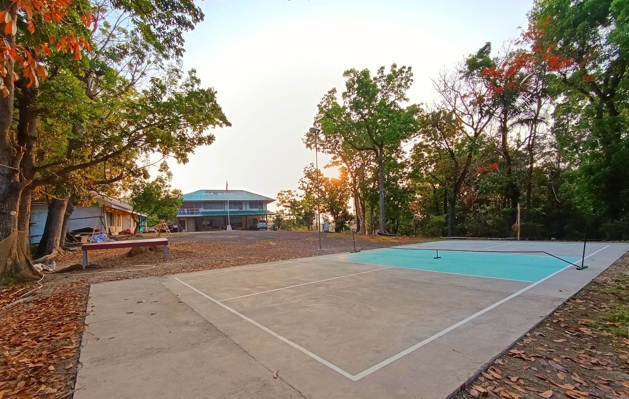 BSP Pickleball