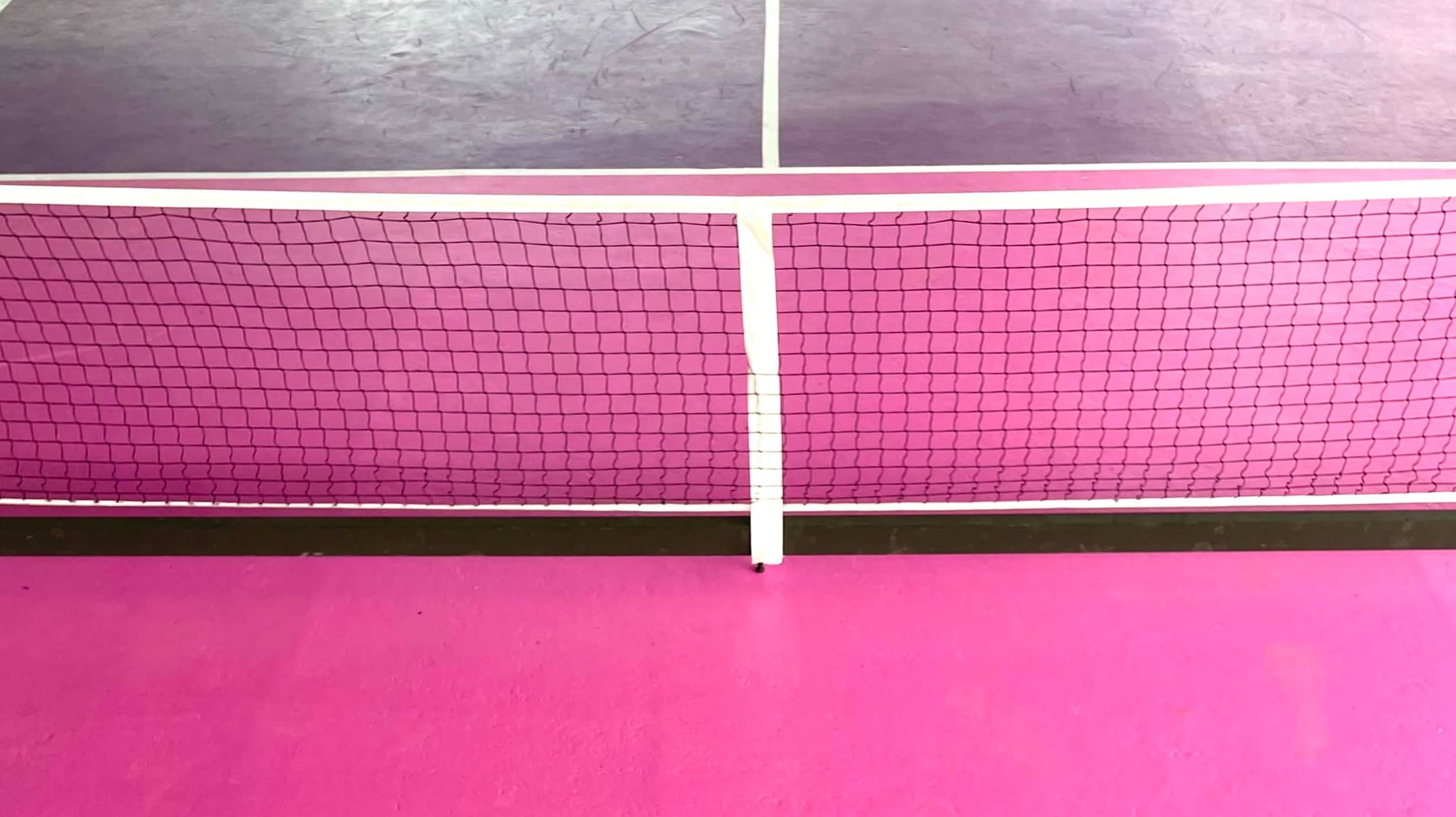 Paddle Spot - Pickleball Hub