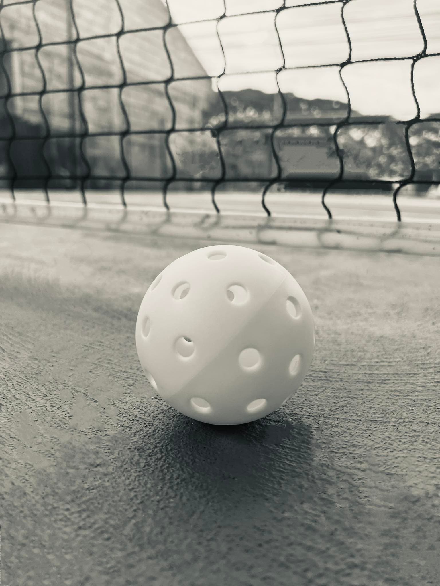 Rueball Pickleball