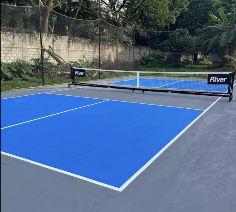 Bunny's Homecourt