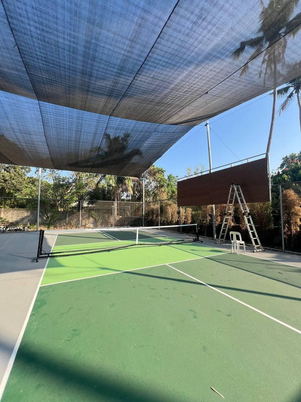Lily's pickleball court